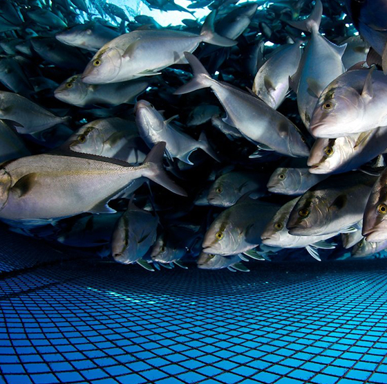 PSA primjena generatora kisika